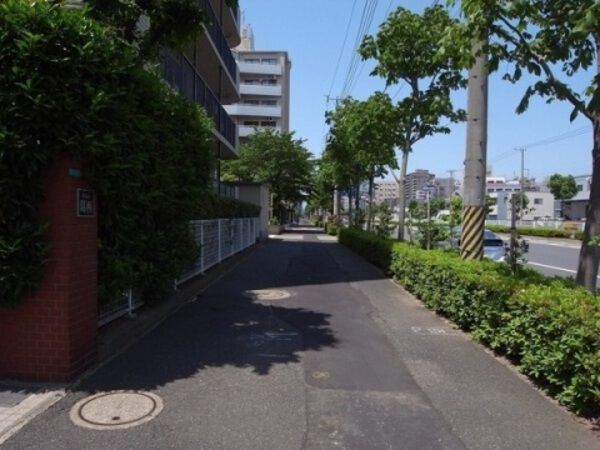 【メゾン葛西】前面道路 【メゾン葛西】前面道路